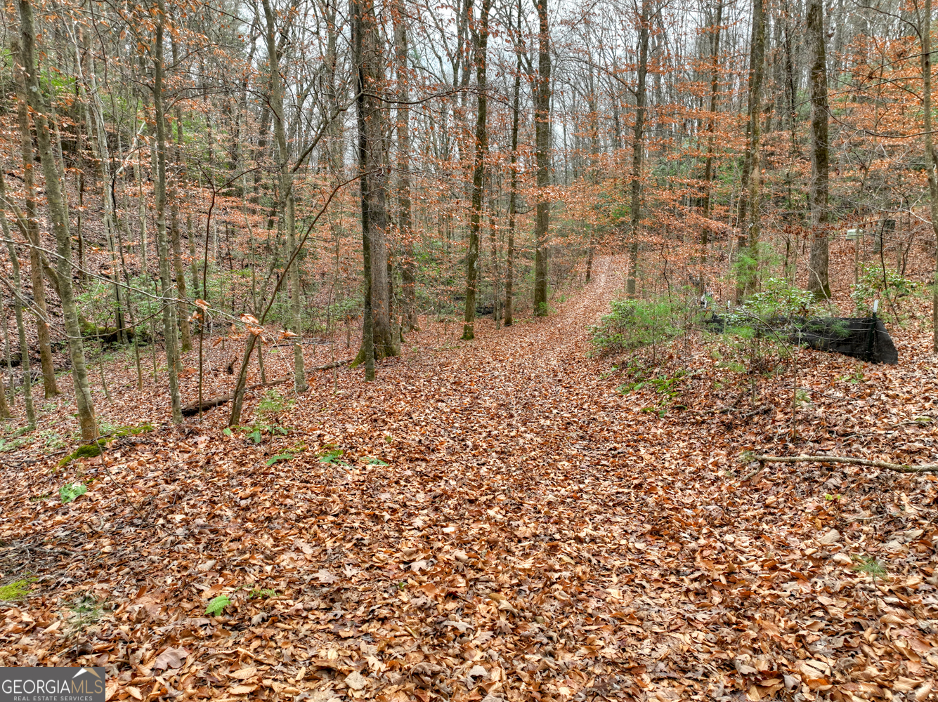 0 Spruill Drive Ellijay GA 30536