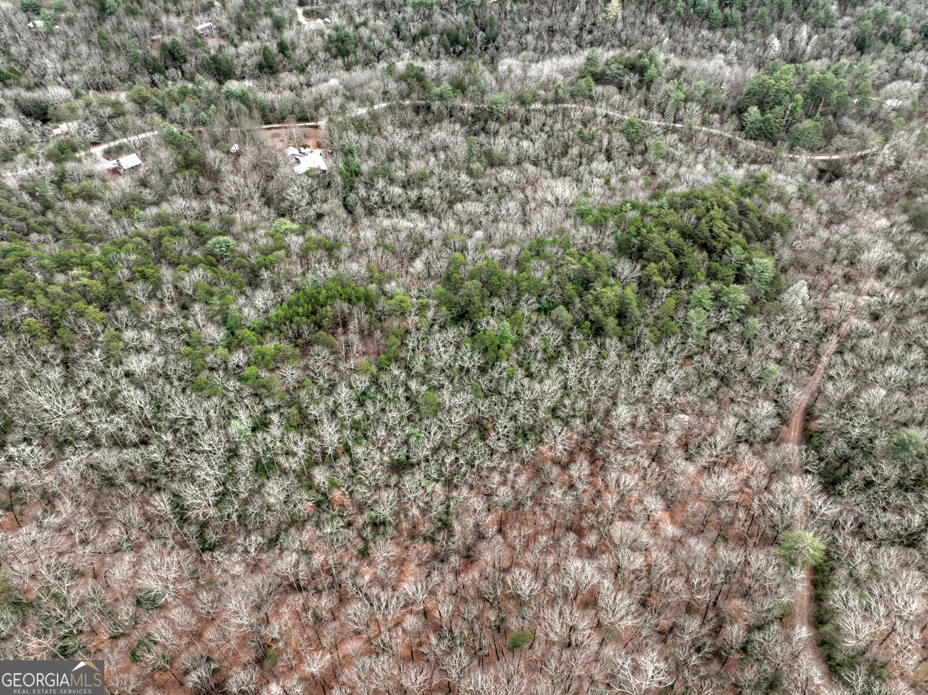 0 Spruill Drive Ellijay GA 30536