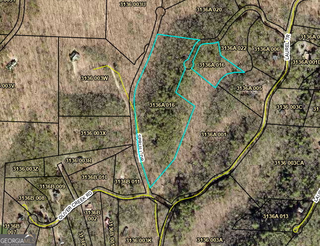 0 Spruill Drive Ellijay GA 30536