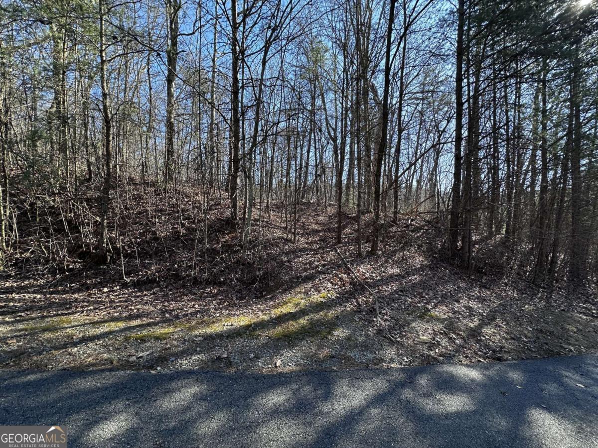 57 St Andrews Way Ellijay GA 30536