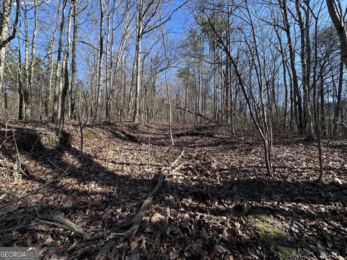 57 St Andrews Way Ellijay GA 30536