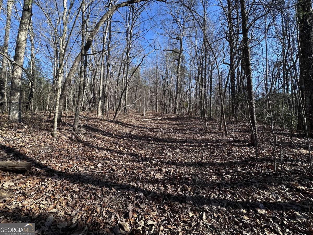 57 St Andrews Way Ellijay GA 30536
