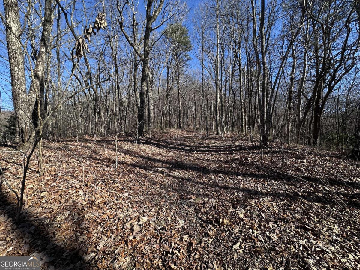 57 St Andrews Way Ellijay GA 30536