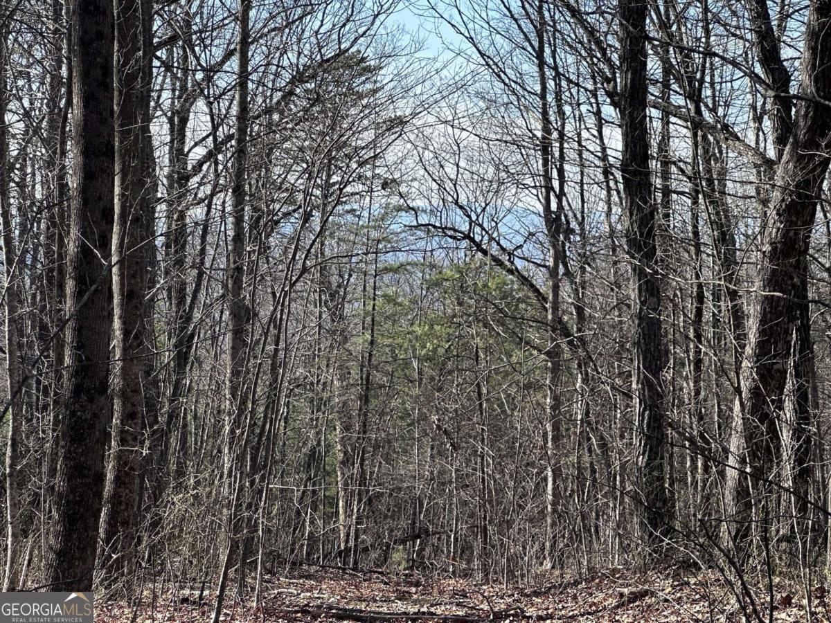 57 St Andrews Way Ellijay GA 30536
