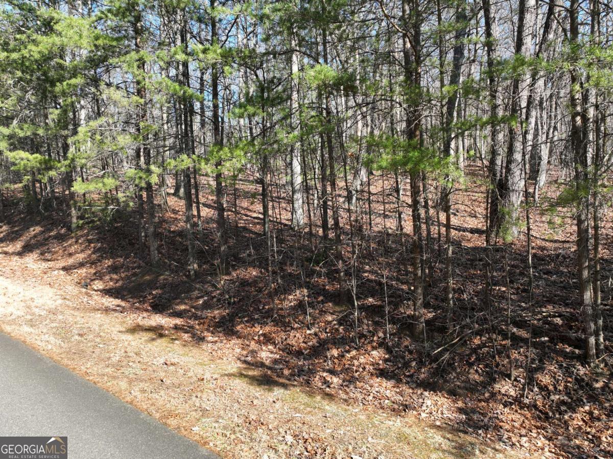 57 St Andrews Way Ellijay GA 30536