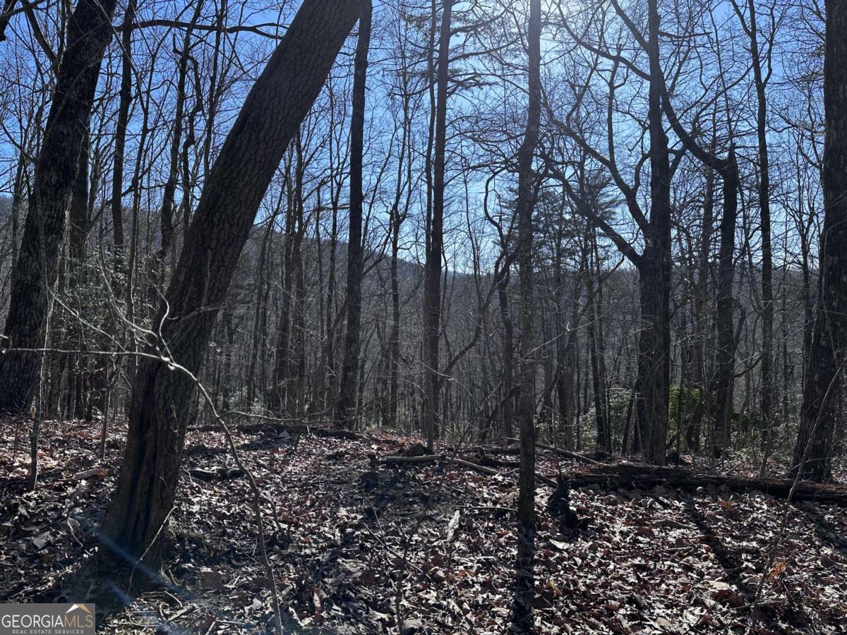 57 St Andrews Way Ellijay GA 30536