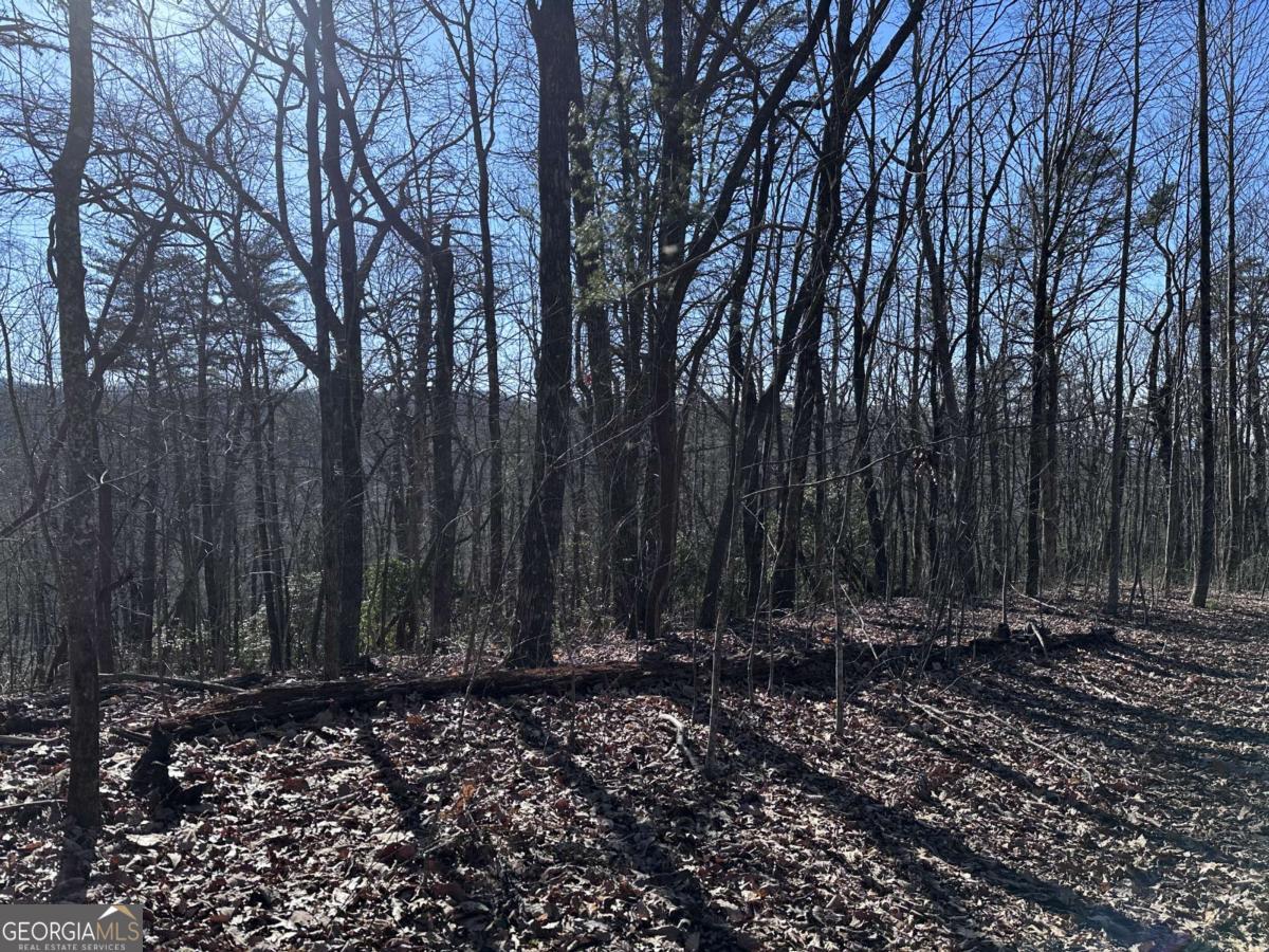 57 St Andrews Way Ellijay GA 30536