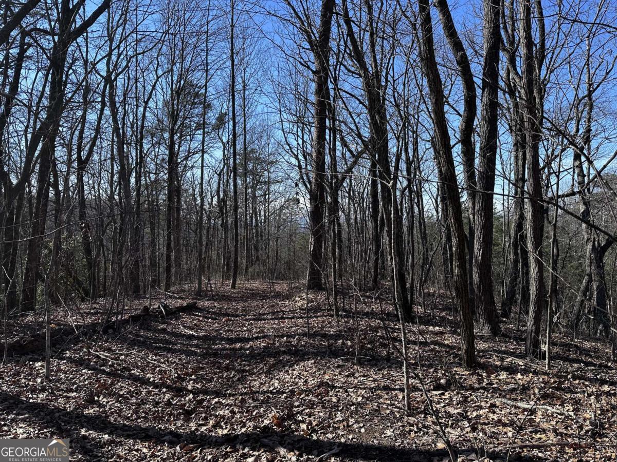 57 St Andrews Way Ellijay GA 30536