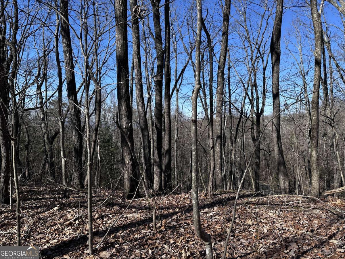 57 St Andrews Way Ellijay GA 30536