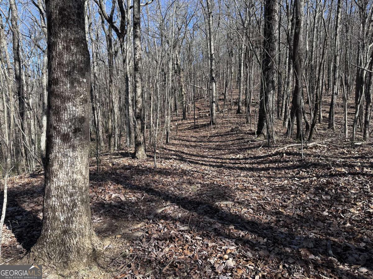 57 St Andrews Way Ellijay GA 30536