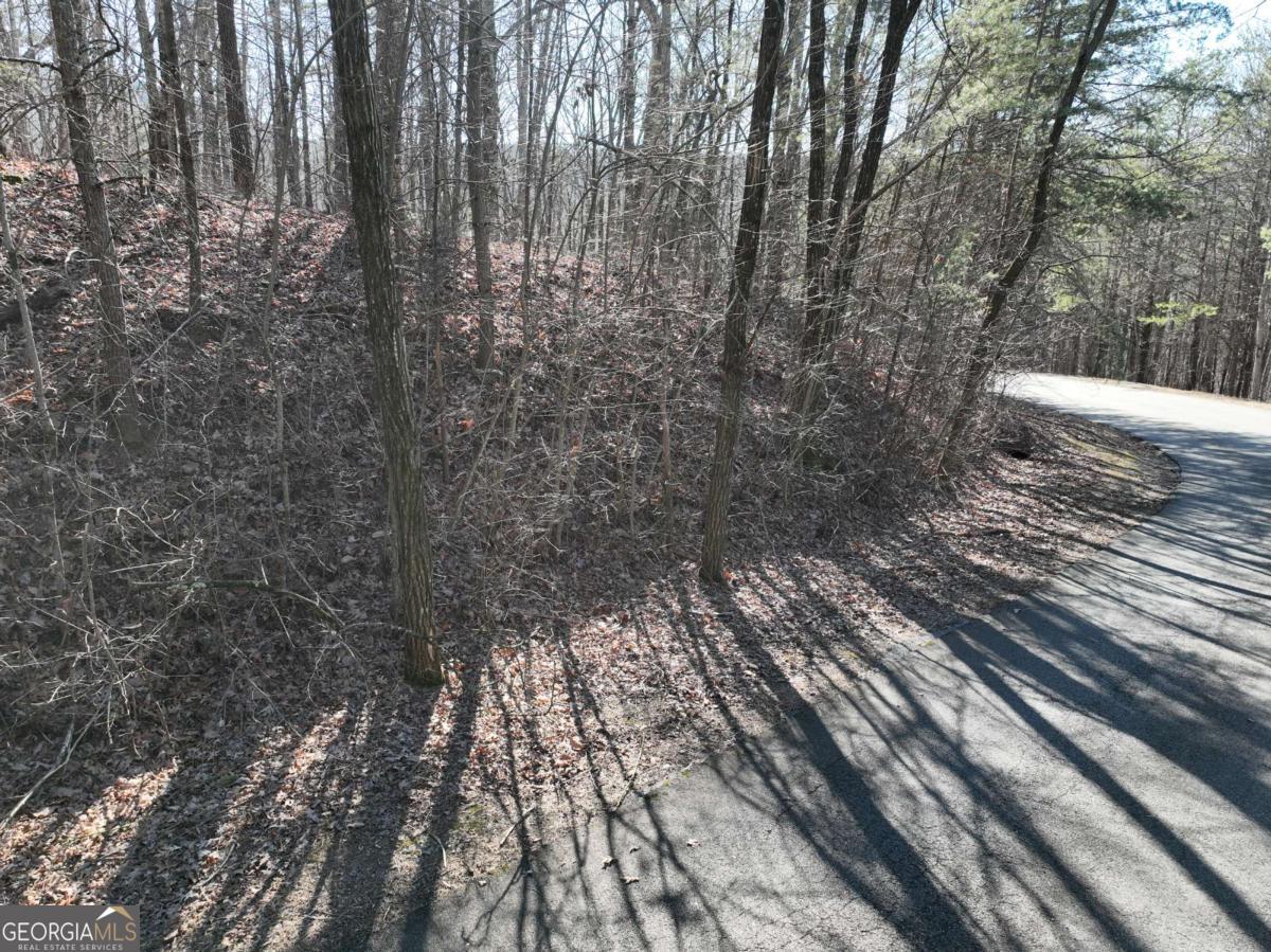 57 St Andrews Way Ellijay GA 30536