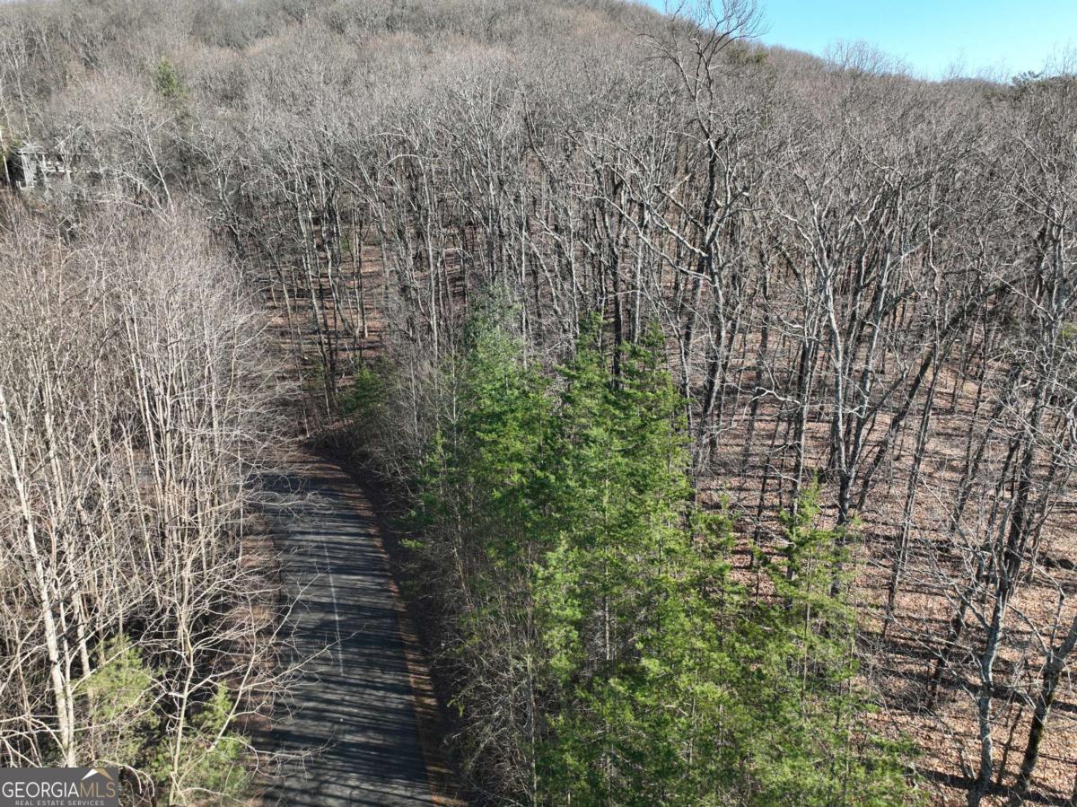 57 St Andrews Way Ellijay GA 30536