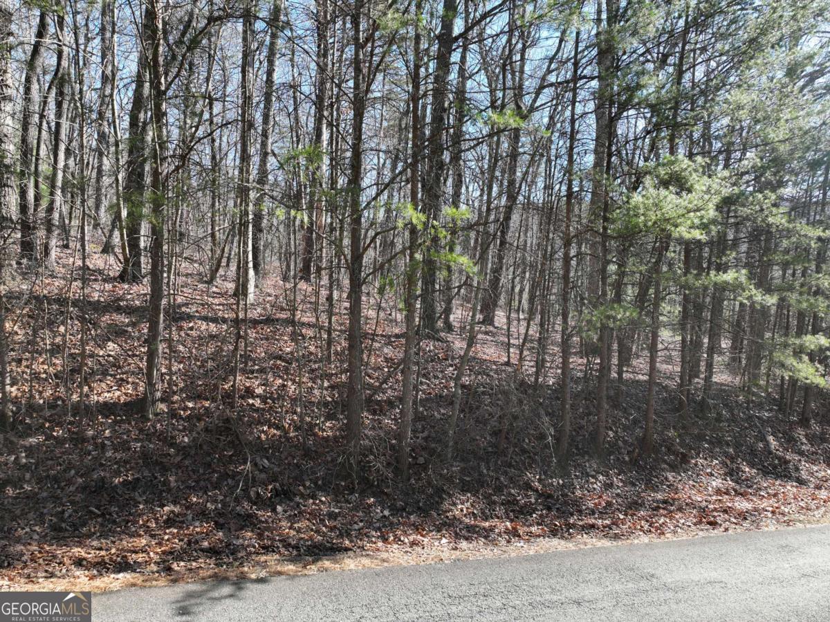 57 St Andrews Way Ellijay GA 30536