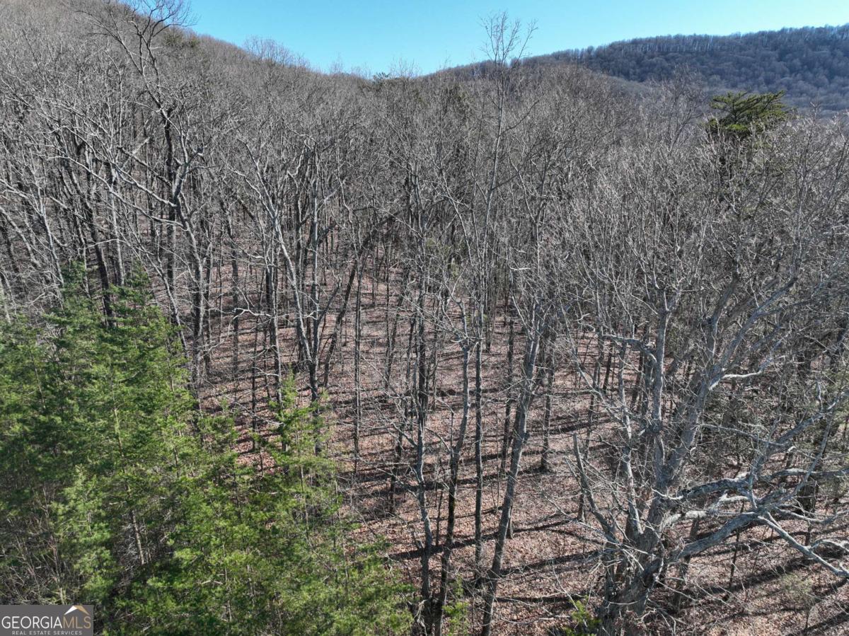 57 St Andrews Way Ellijay GA 30536