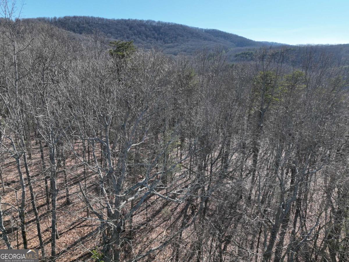 57 St Andrews Way Ellijay GA 30536
