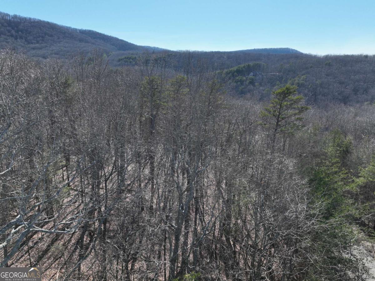 57 St Andrews Way Ellijay GA 30536