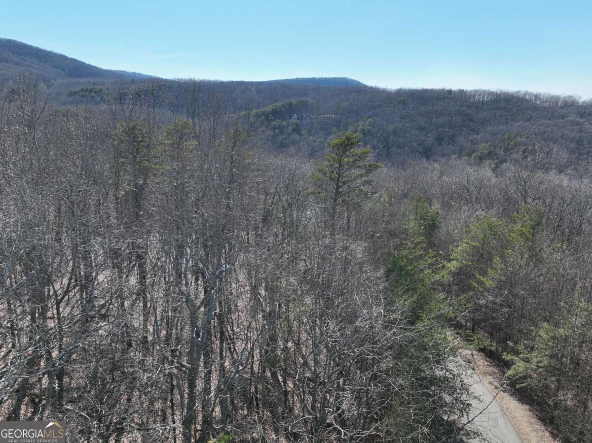 57 St Andrews Way Ellijay GA 30536