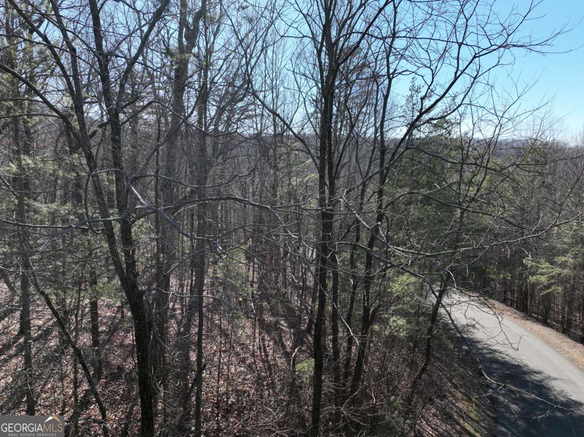 57 St Andrews Way Ellijay GA 30536