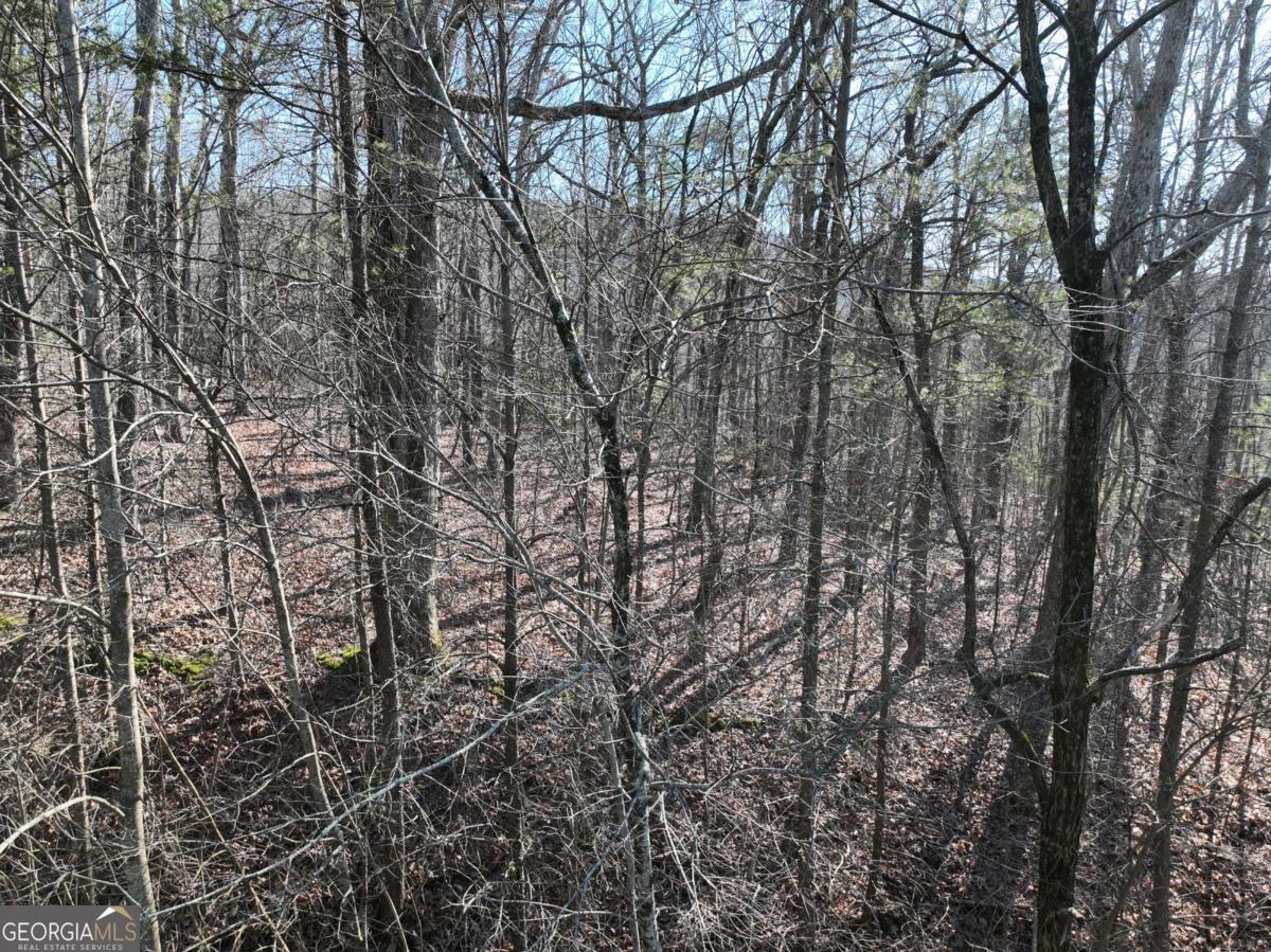 57 St Andrews Way Ellijay GA 30536