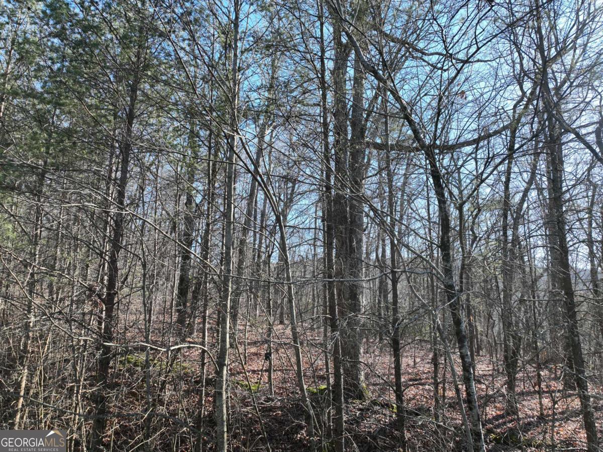57 St Andrews Way Ellijay GA 30536