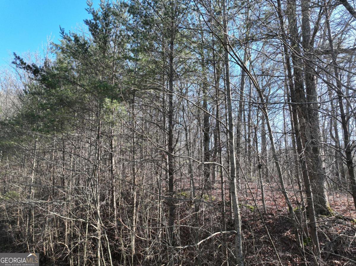 57 St Andrews Way Ellijay GA 30536