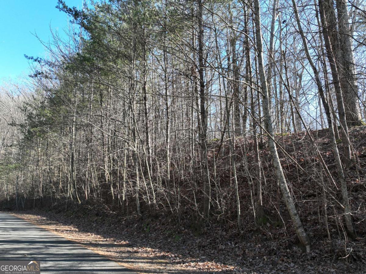 57 St Andrews Way Ellijay GA 30536