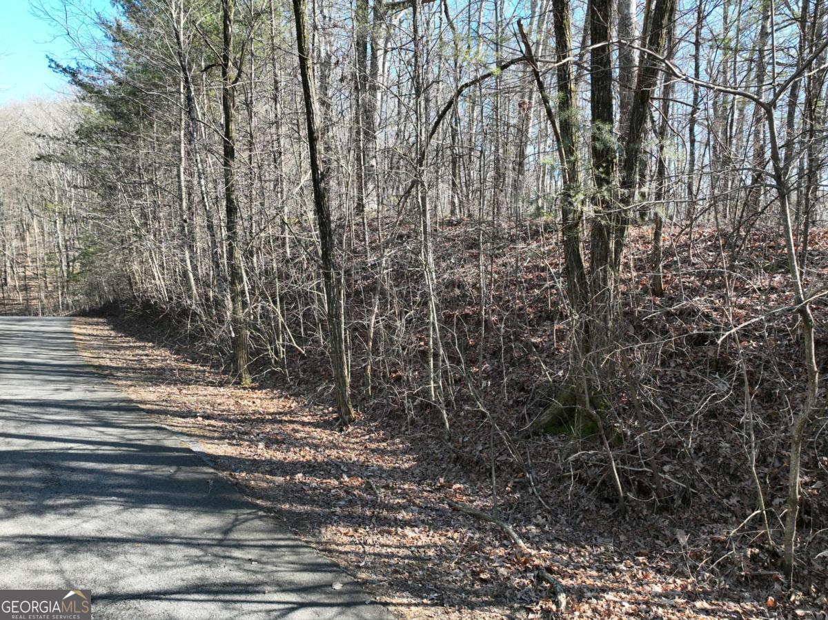 57 St Andrews Way Ellijay GA 30536