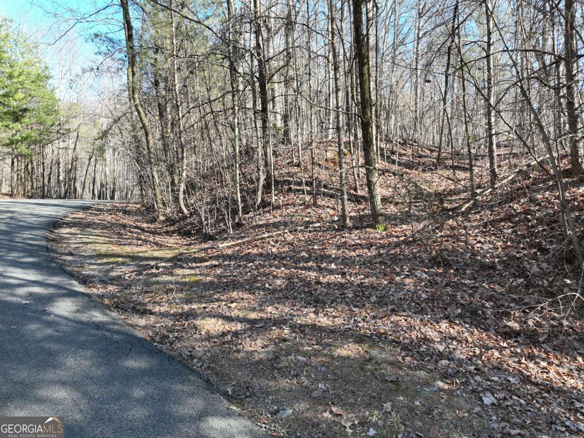 57 St Andrews Way Ellijay GA 30536