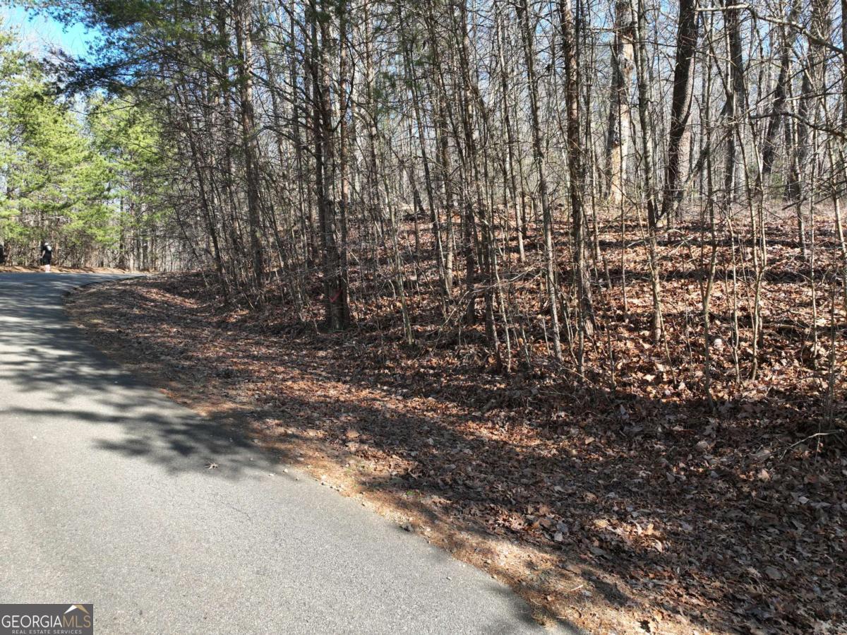 57 St Andrews Way Ellijay GA 30536