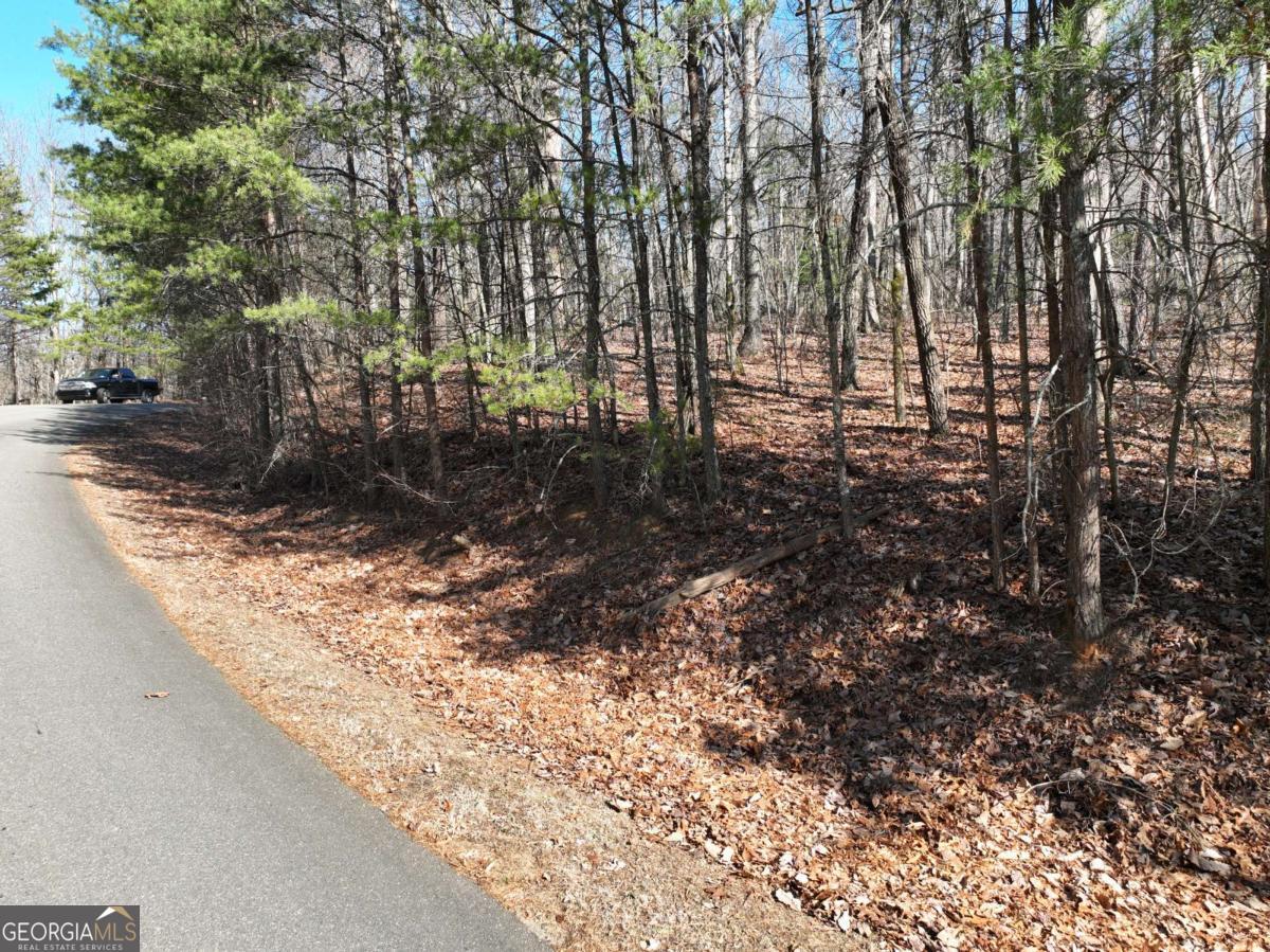 57 St Andrews Way Ellijay GA 30536