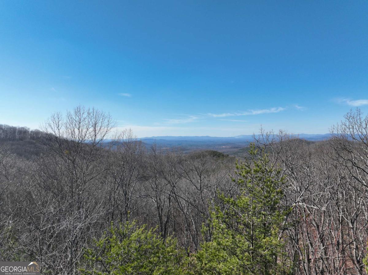 57 St Andrews Way Ellijay GA 30536