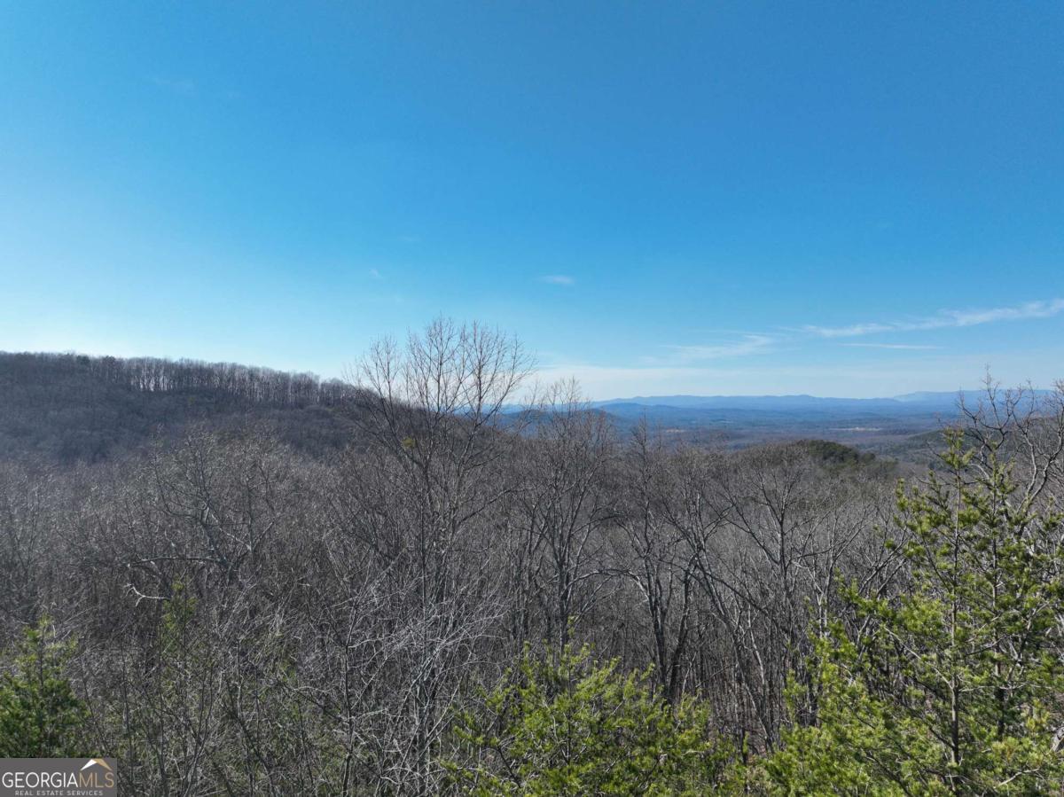 57 St Andrews Way Ellijay GA 30536