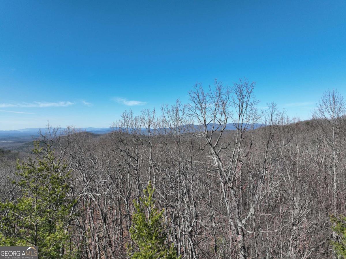 57 St Andrews Way Ellijay GA 30536