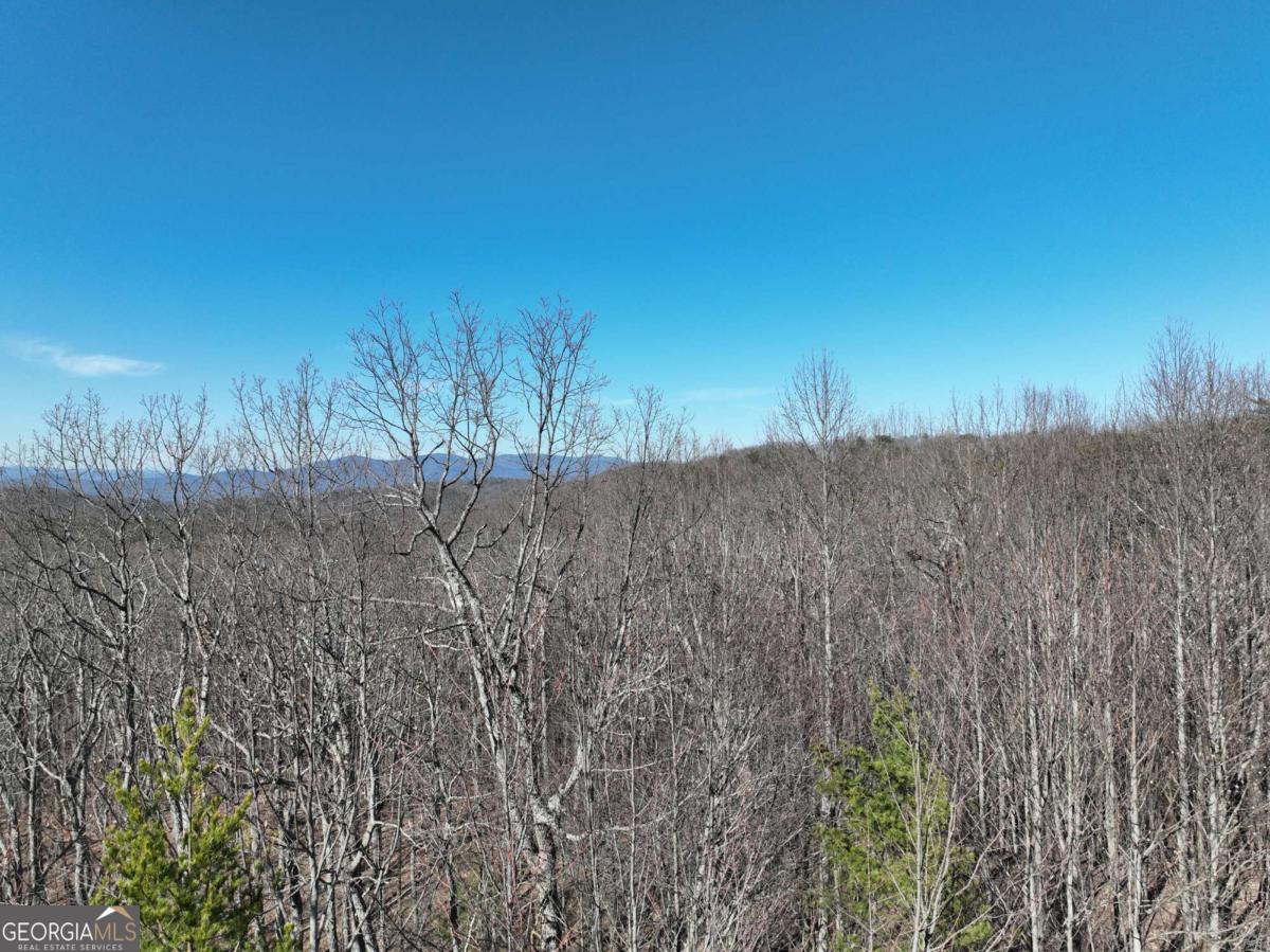 57 St Andrews Way Ellijay GA 30536