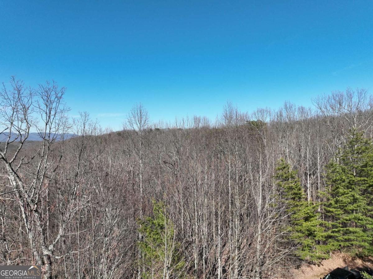 57 St Andrews Way Ellijay GA 30536
