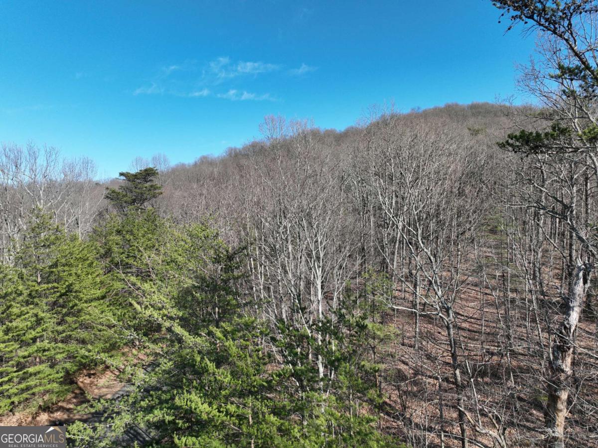 57 St Andrews Way Ellijay GA 30536