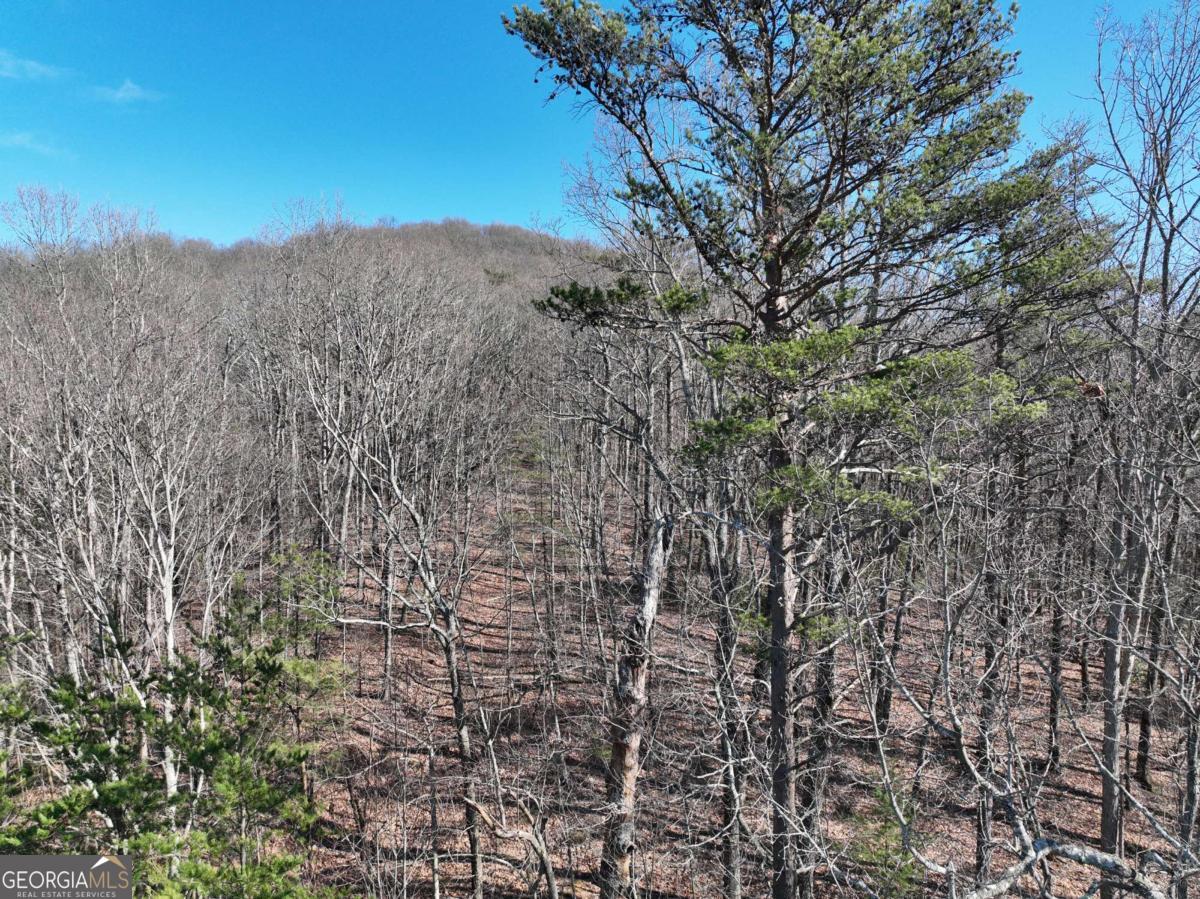 57 St Andrews Way Ellijay GA 30536