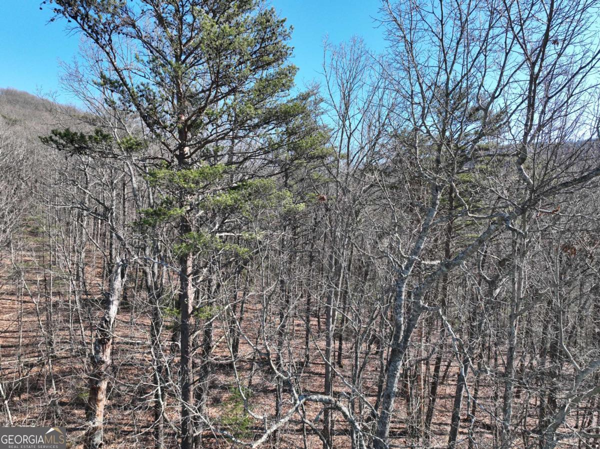 57 St Andrews Way Ellijay GA 30536