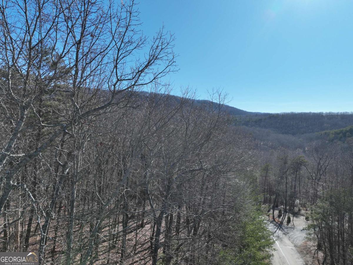 57 St Andrews Way Ellijay GA 30536