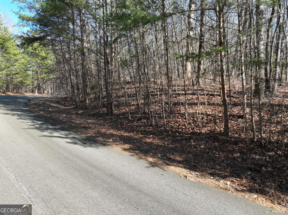 57 St Andrews Way Ellijay GA 30536