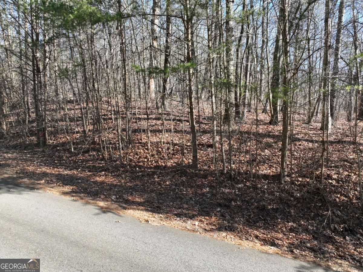57 St Andrews Way Ellijay GA 30536