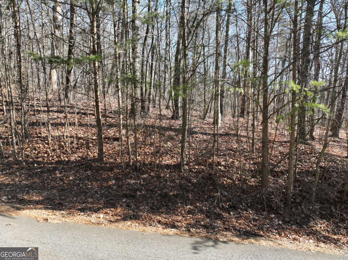 57 St Andrews Way Ellijay GA 30536