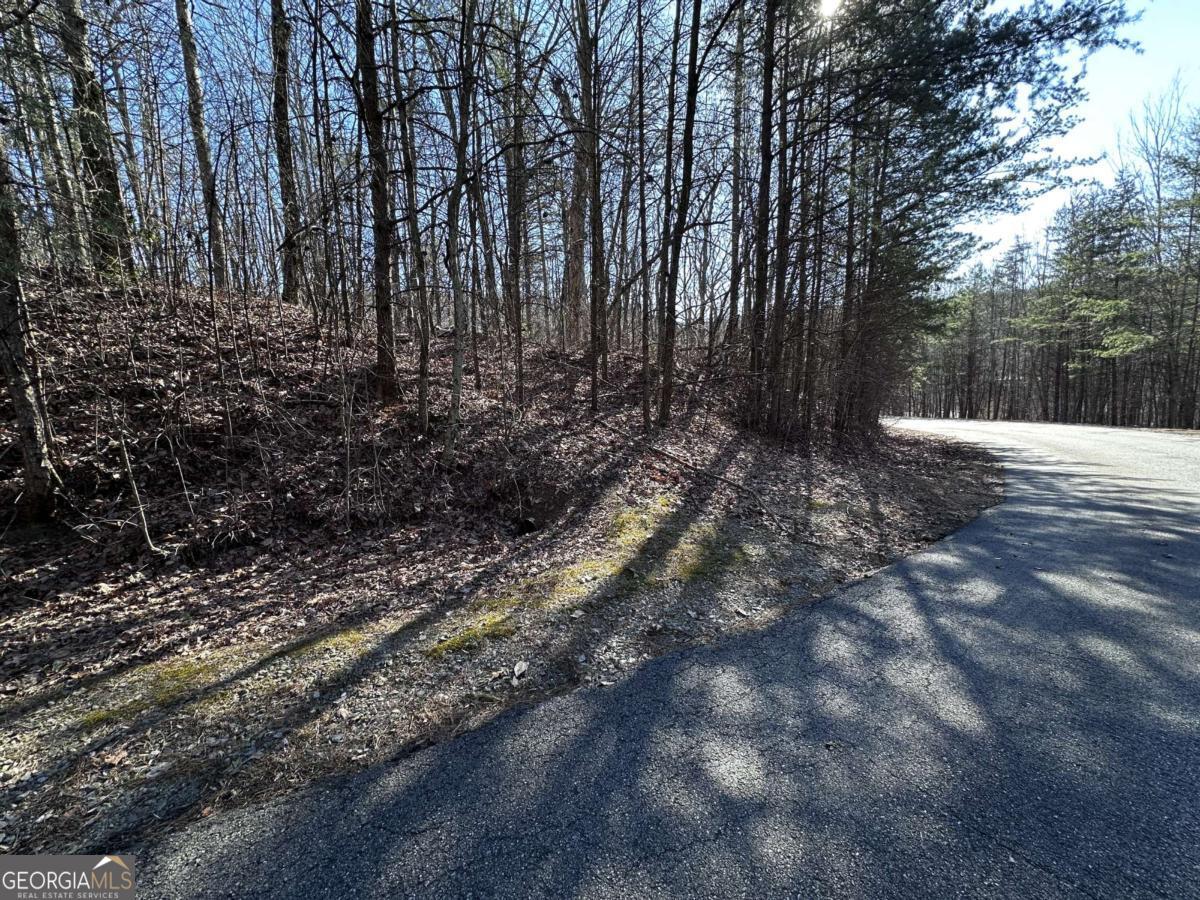 57 St Andrews Way Ellijay GA 30536