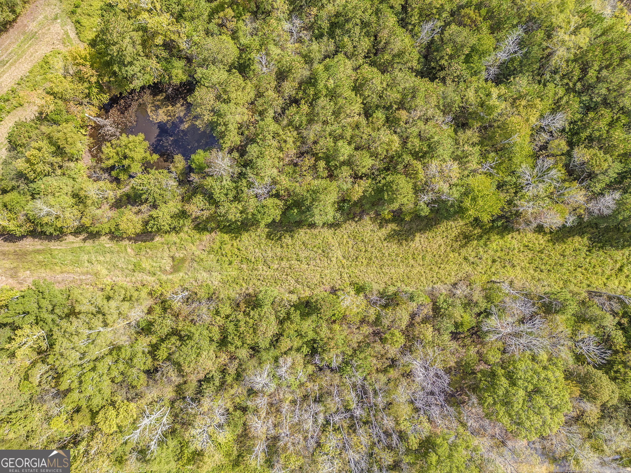 33 +/- Acres Adairsville Road Highway 140 Adairsville GA 30103