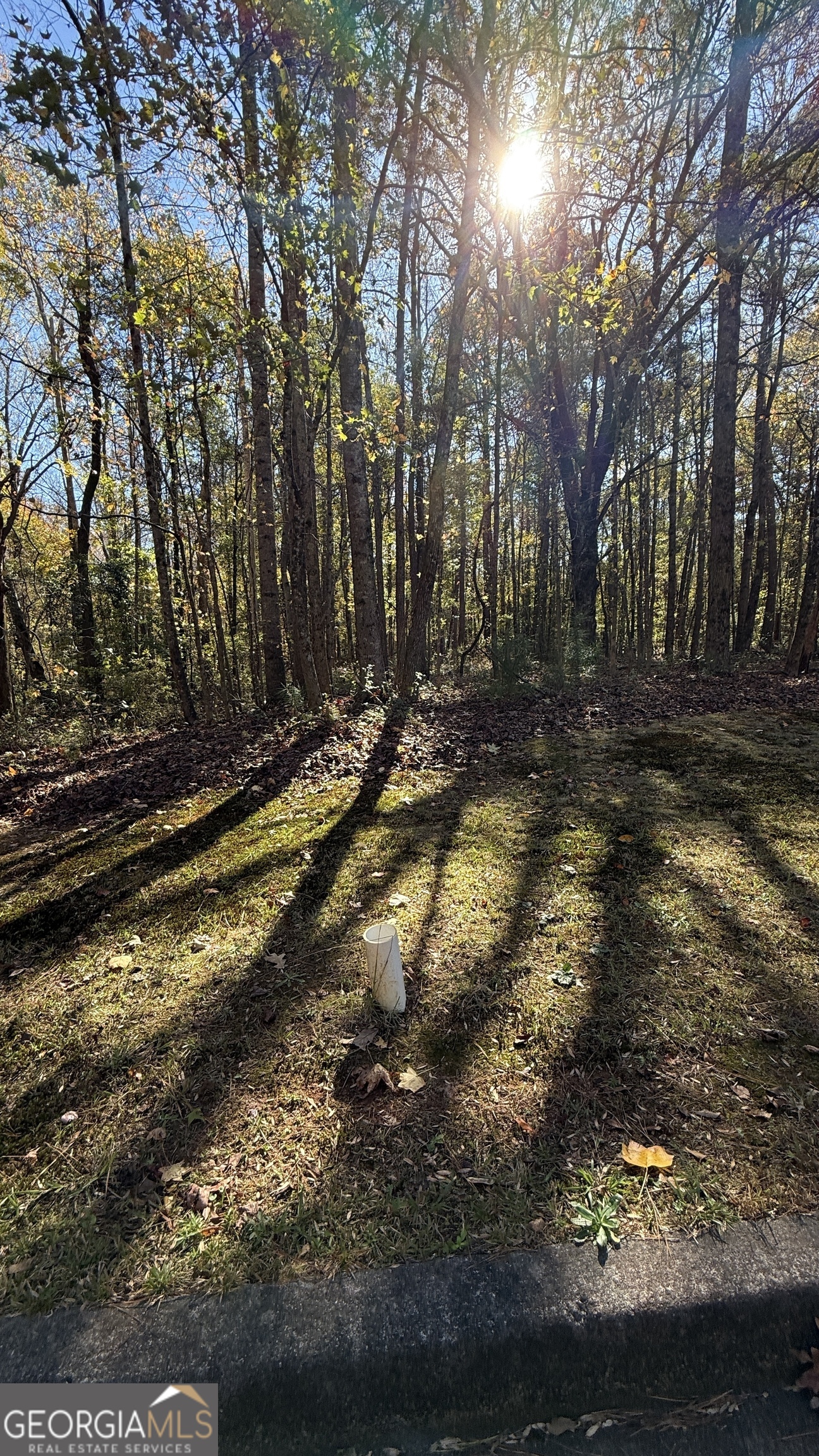 Lot 15 Of Fairview Springs Drive E Ellenwood GA 30294