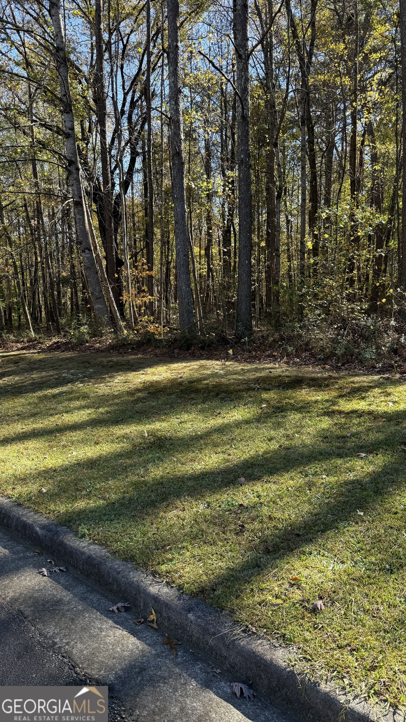 Lot 15 Of Fairview Springs Drive E Ellenwood GA 30294