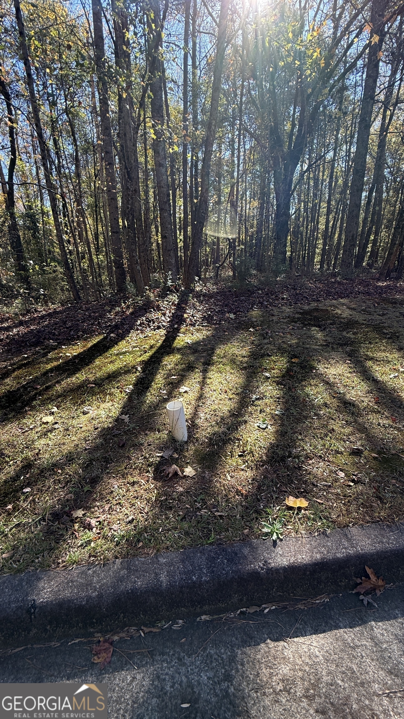 Lot 15 Of Fairview Springs Drive E Ellenwood GA 30294