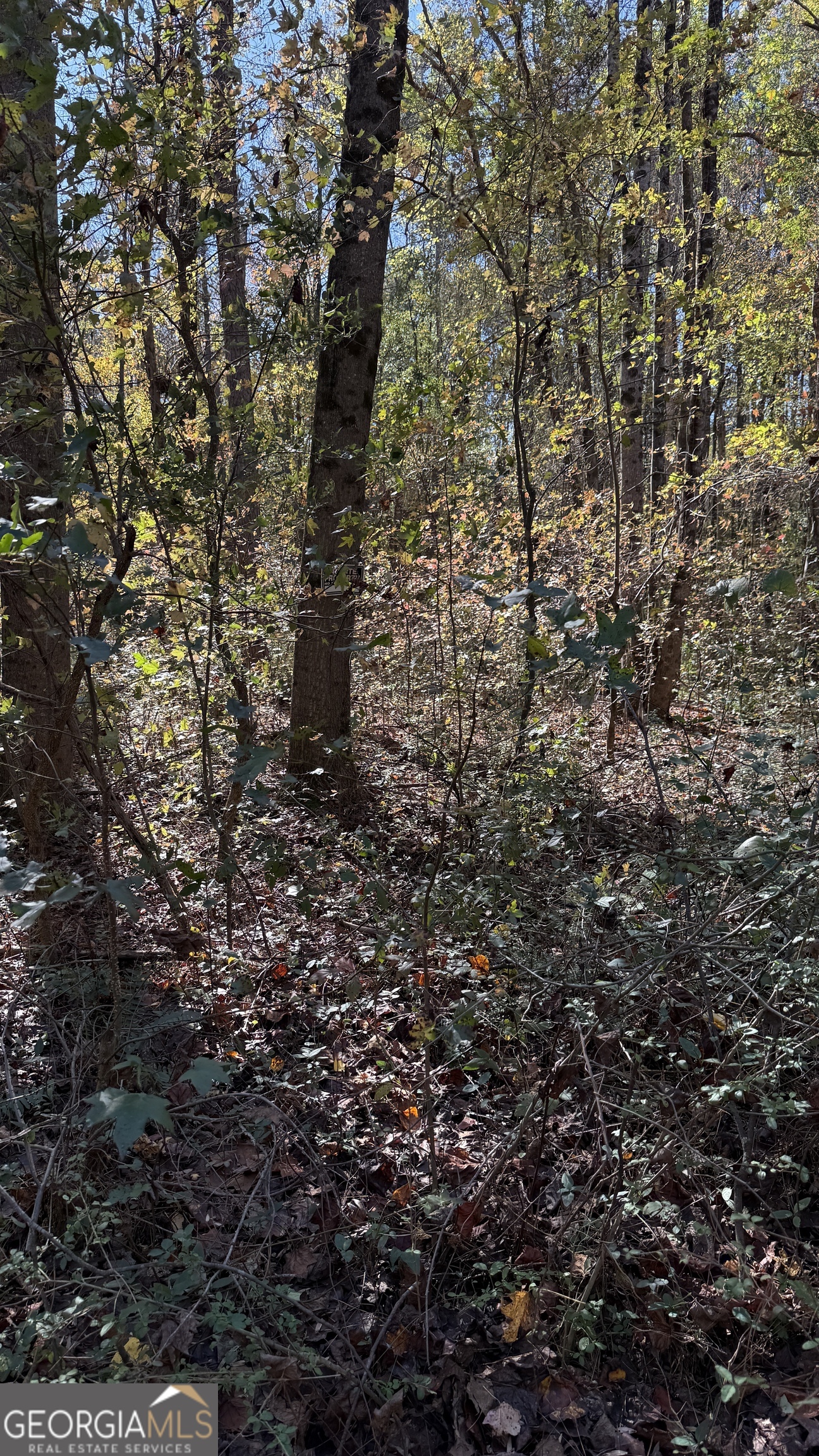 Lot 15 Of Fairview Springs Drive E Ellenwood GA 30294