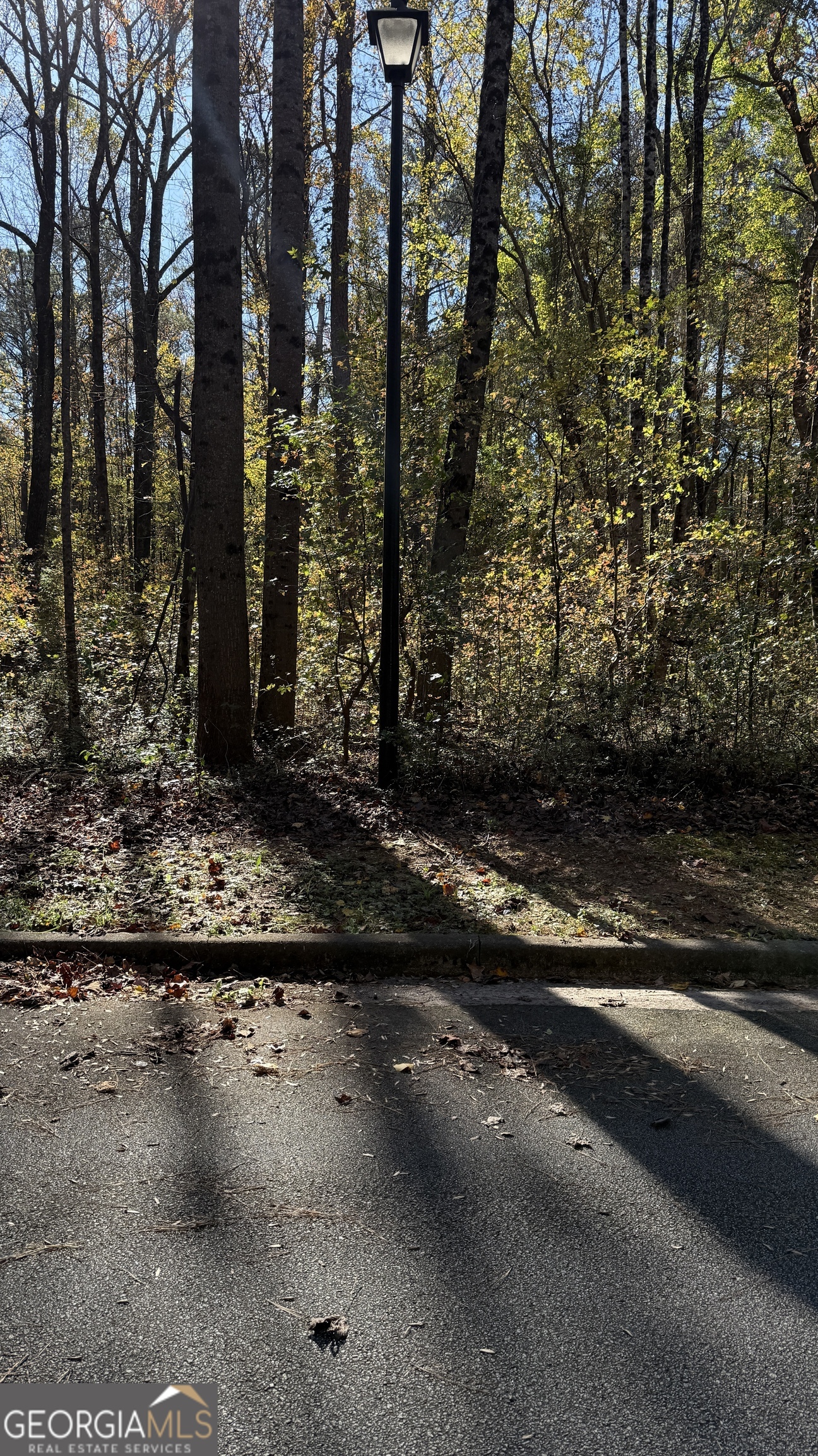 Lot 15 Of Fairview Springs Drive E Ellenwood GA 30294