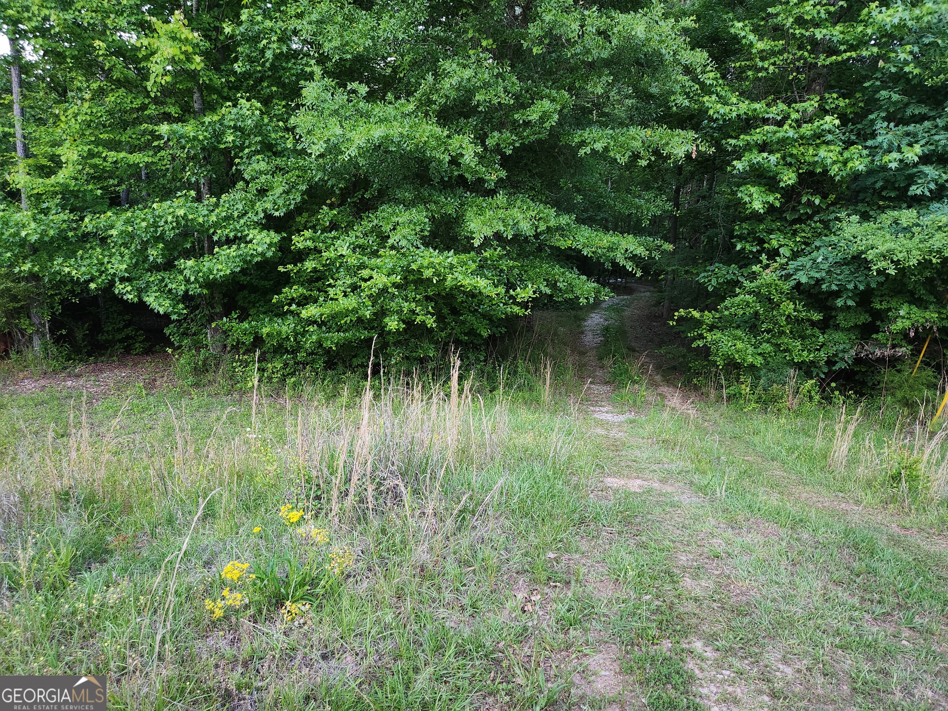 840 Amelia Road Locust Grove GA 30248